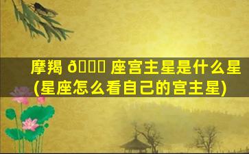 摩羯 🐒 座宫主星是什么星(星座怎么看自己的宫主星)